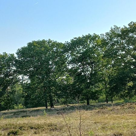 Vogelzang Villa Hattemerbroek ห้อง รูปภาพ